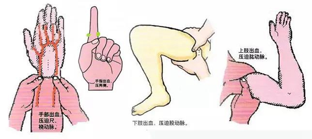 【热门】比“冰墩墩”更火的是！(图11)