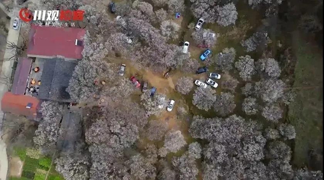 四川新增22家4A级景区，宜宾翠屏山景区上榜！(图3)