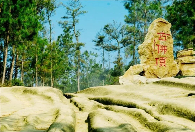 四川新增22家4A级景区，宜宾翠屏山景区上榜！(图4)