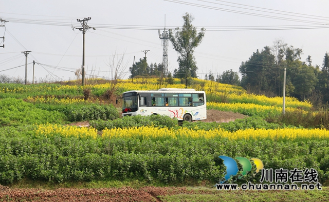 家门口直达校门口！泸县潮河镇王坪村开通护学公交专线(图2)