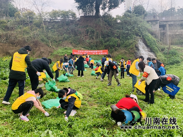 江阳区华阳街道：绿色元宵节，“河”我一起守护长江(图2)