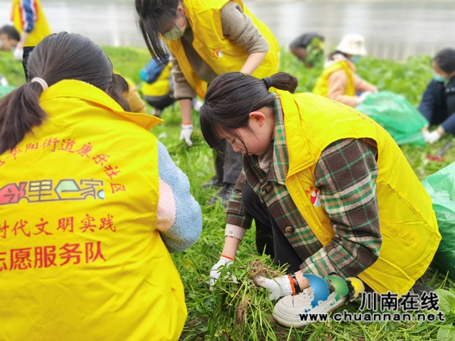 江阳区华阳街道：绿色元宵节，“河”我一起守护长江(图3)
