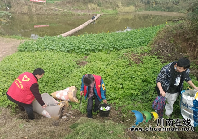 龙马潭区鱼塘街道民主社区开展“爱在春天、清洁家园”志愿服务活动(图1)