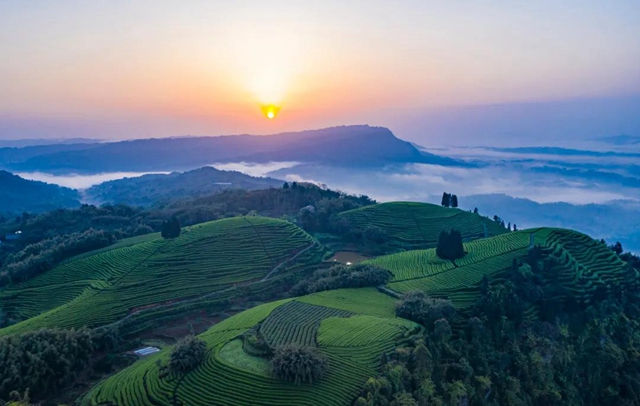 连续九届 | 这个周末,精彩纳溪不容错过!(图3) 连续九届 | 这个周末,精彩纳溪不容错过!(图3)