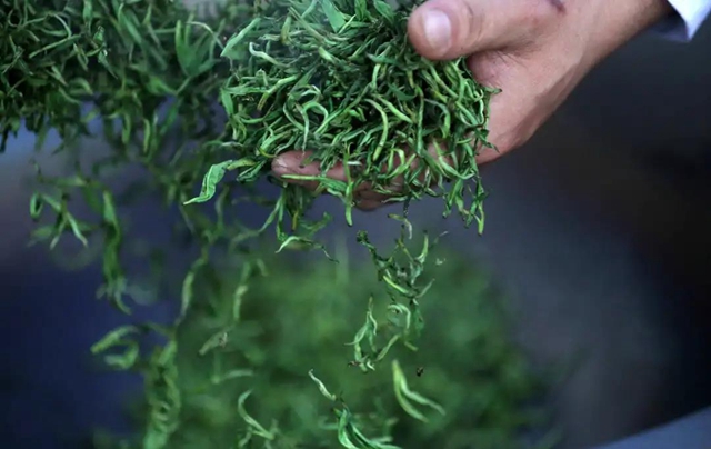 连续九届 | 这个周末,精彩纳溪不容错过!(图5) 连续九届 | 这个周末,精彩纳溪不容错过!(图5)