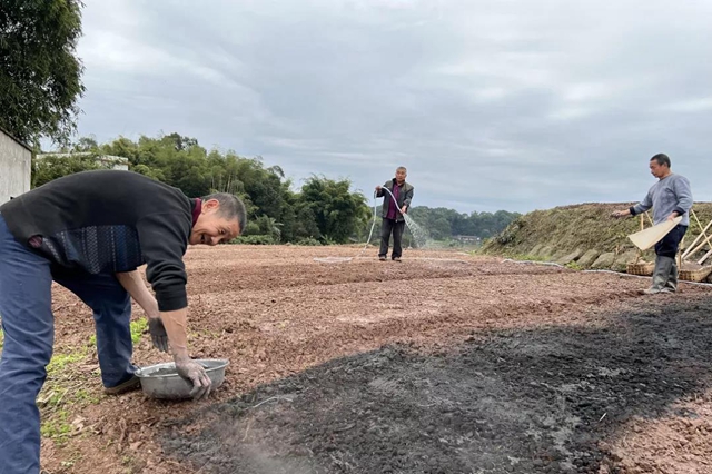 合江：开种门，迎春耕啦！(图2)