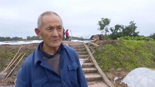 合江：开种门，迎春耕啦！(图5)