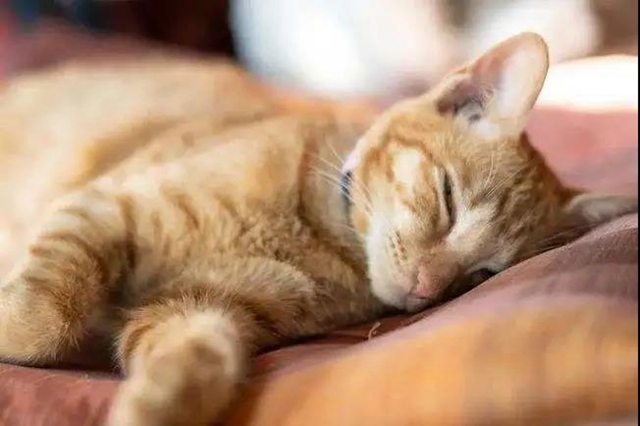 【分享】为了十年后不得癌症,这些你现在就要开始做!(图2) 【分享】为了十年后不得癌症,这些你现在就要开始做!(图2)