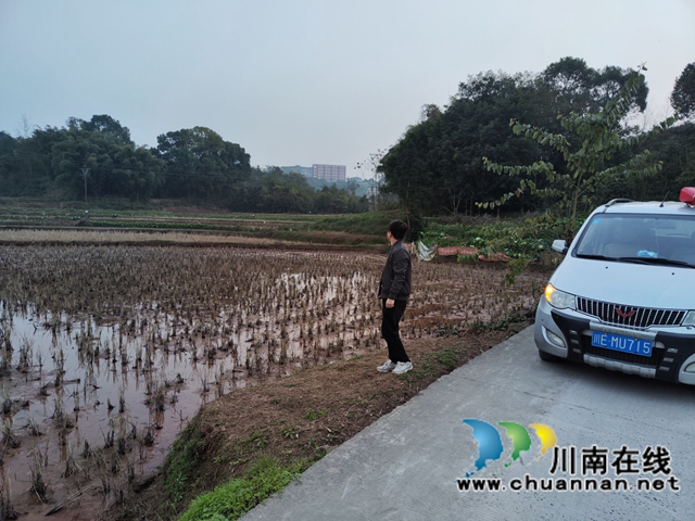 泸县云龙镇：持续开展全面巡查，筑牢秸秆禁烧屏障(图2)