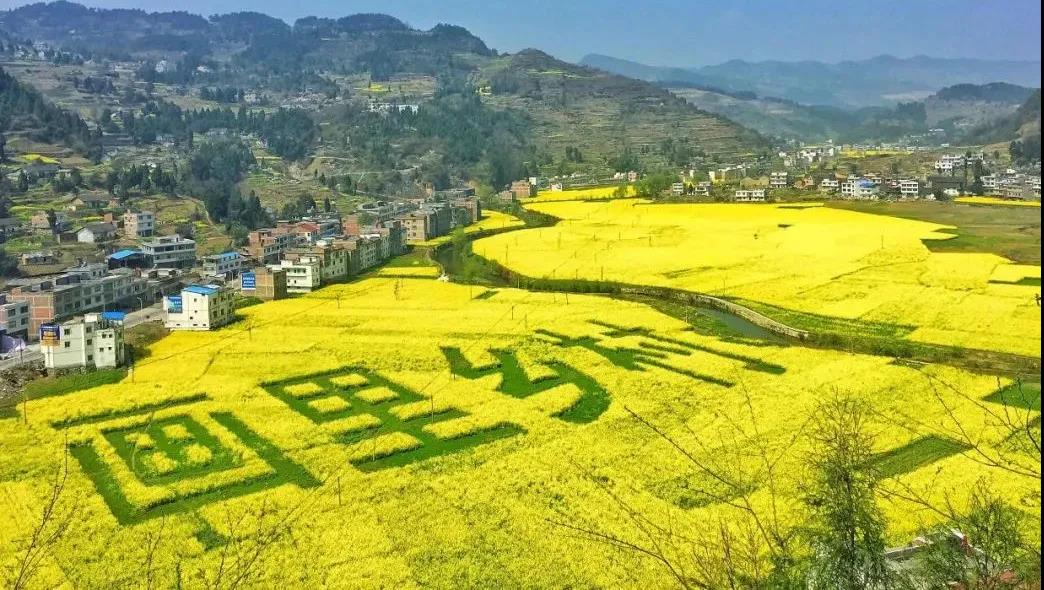 踏青赏花正当时，泸州发布多条赏花线路(图5)