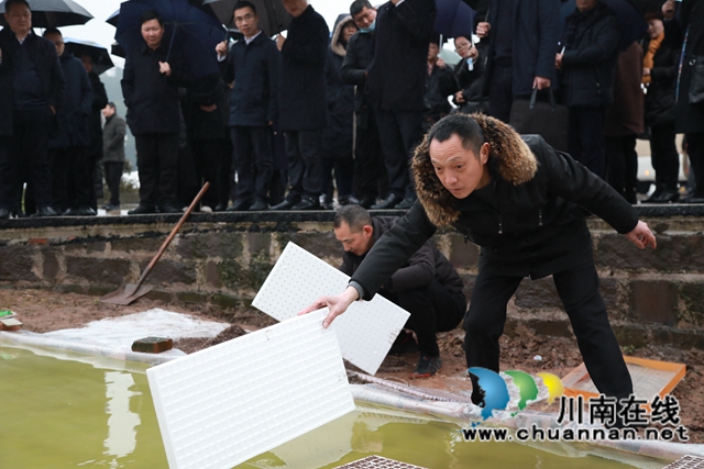 雨水好时节！合江县春耕生产拉开战幕(图2)
