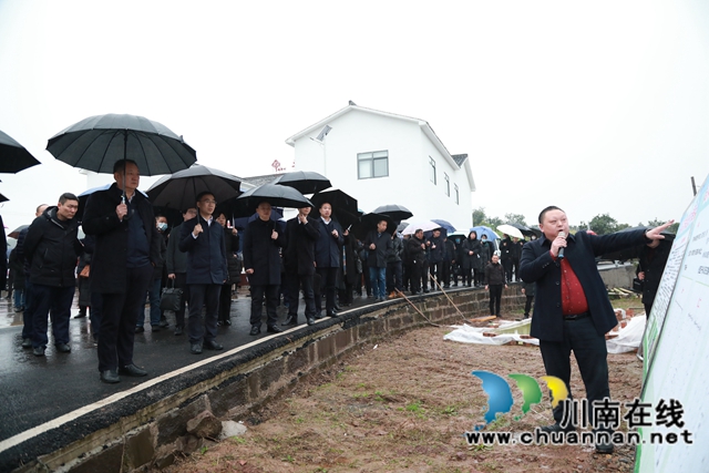 雨水好时节！合江县春耕生产拉开战幕(图3)