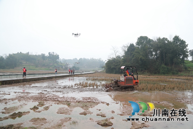 雨水好时节！合江县春耕生产拉开战幕(图1)