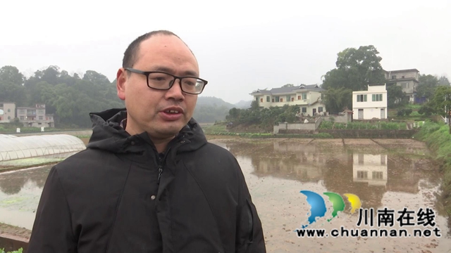 雨水好时节！合江县春耕生产拉开战幕(图6)