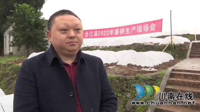 雨水好时节！合江县春耕生产拉开战幕(图7)