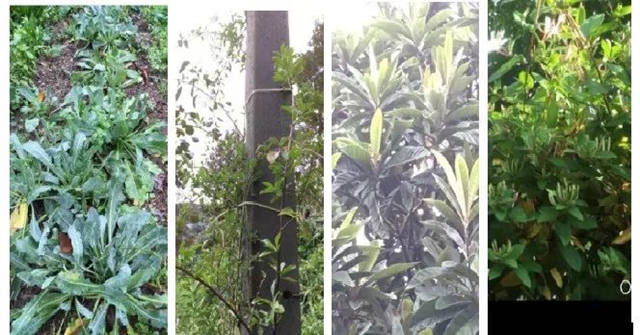 【关注】出发!又一中医师赴捷克(图10) 【关注】出发!又一中医师赴捷克(图10)