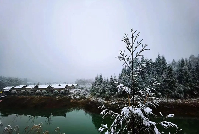 雪落春风，合江的春雪别样美丽……(图3)