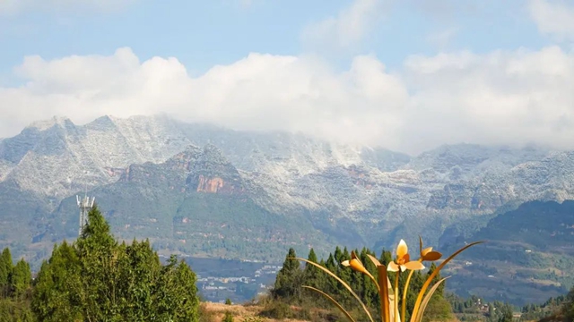 暖阳高照,雪山绵延,蔺州大地一秒“回春”!(图6) 暖阳高照,雪山绵延,蔺州大地一秒“回春”!(图6)