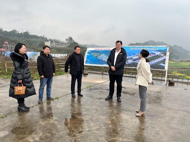 确保“开门红”丨泸州市口岸物流办：组织安全生产检查，有序推进复工复产(图4)