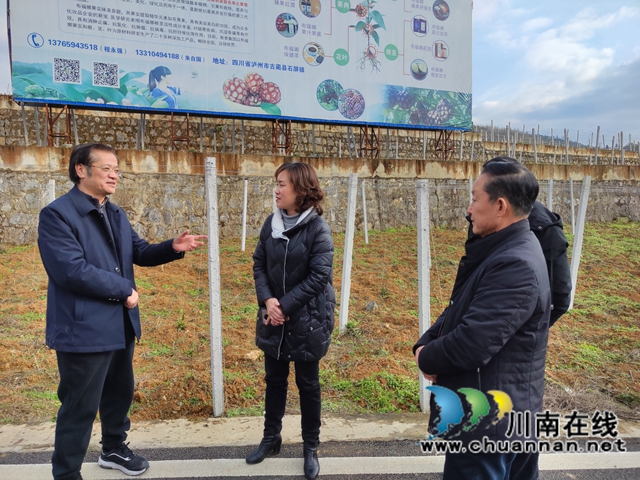 古蔺：市镇共建乡村振兴示范镇(图4)