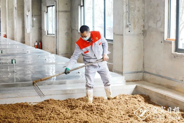 勇夺开门红丨宜宾企业“虎”力全开 冲刺开门红(图2) 勇夺开门红丨宜宾企业“虎”力全开 冲刺开门红(图2)