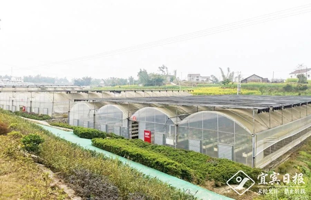 勇夺开门红丨宜宾企业“虎”力全开 冲刺开门红(图5) 勇夺开门红丨宜宾企业“虎”力全开 冲刺开门红(图5)