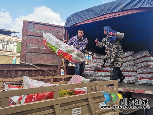 泸县：推广种植优质稻，64.25吨水稻种子免费送农户(图3)