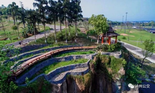 泸州赏花地点大汇总！快搭乘“春天的公交”出发！（附详细乘车线路）(图1)