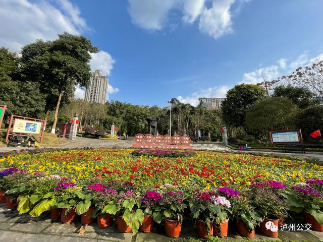 泸州赏花地点大汇总！快搭乘“春天的公交”出发！（附详细乘车线路）(图10)