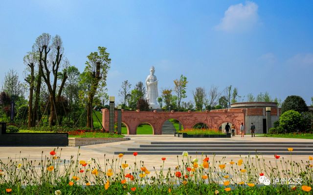 泸州赏花地点大汇总！快搭乘“春天的公交”出发！（附详细乘车线路）(图13)