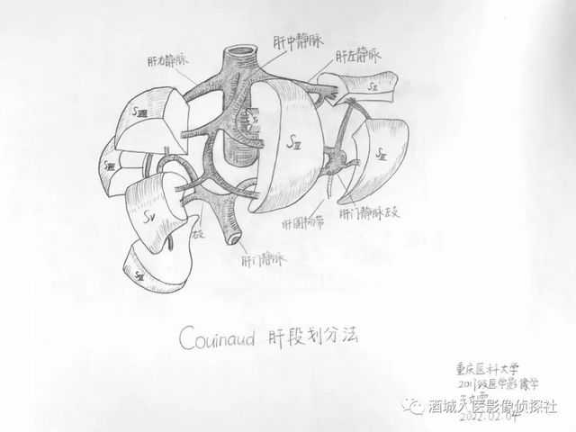 生命之美——医学影像科实习学生寒假作业等你来投票！！(图1)