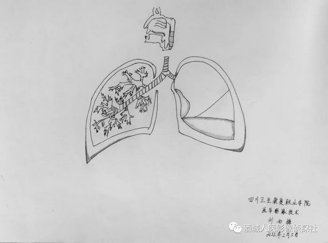 生命之美——医学影像科实习学生寒假作业等你来投票！！(图3)