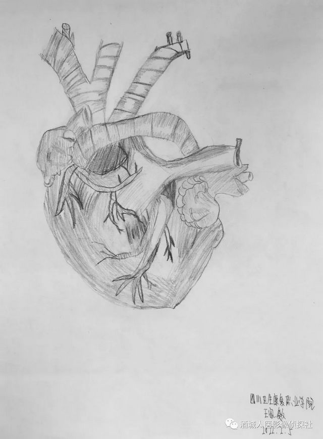 生命之美——医学影像科实习学生寒假作业等你来投票！！(图4)