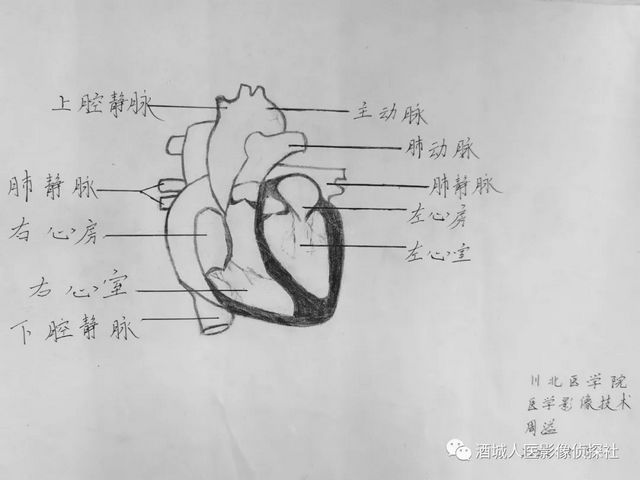 生命之美——医学影像科实习学生寒假作业等你来投票！！(图6)