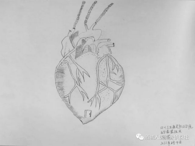 生命之美——医学影像科实习学生寒假作业等你来投票！！(图8)