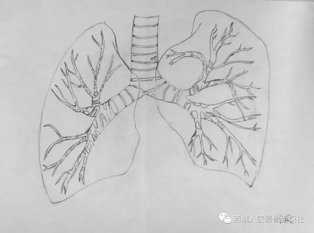 生命之美——医学影像科实习学生寒假作业等你来投票！！(图9)
