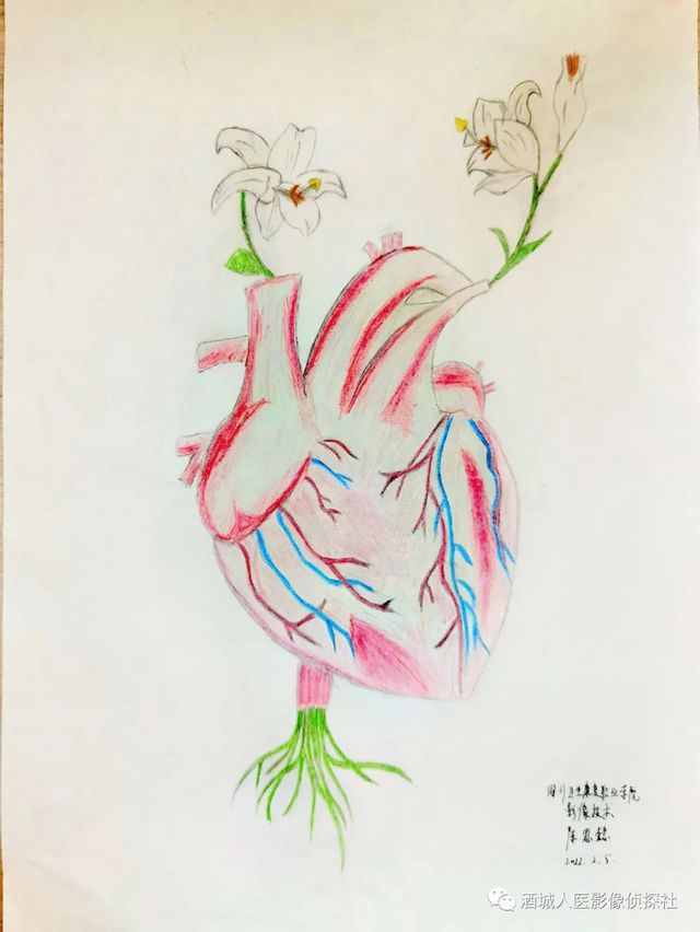 生命之美——医学影像科实习学生寒假作业等你来投票！！(图16)