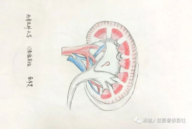 生命之美——医学影像科实习学生寒假作业等你来投票！！(图15)