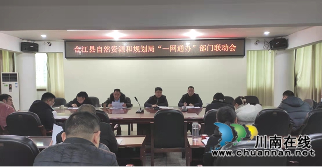 合江县自然资源和规划局召开“一网通办”部门联动会(图1)