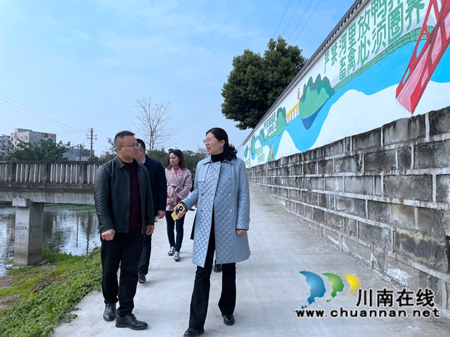 冯怀玉到泸县百和镇调研当前重点工作(图4)