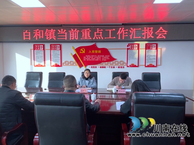 冯怀玉到泸县百和镇调研当前重点工作(图5)