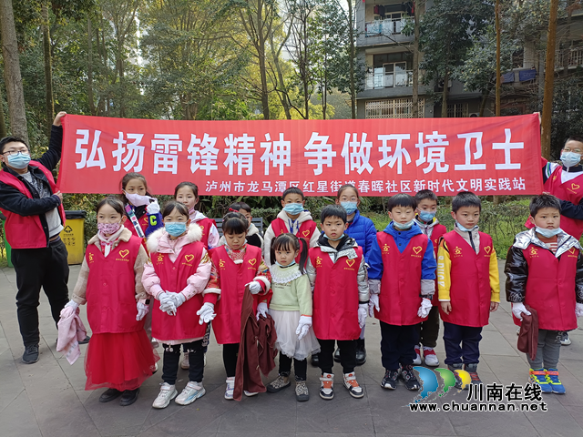龙马潭区红星街道开展“学习雷锋精神 争做环保卫士”主题社会实践活动(图5)