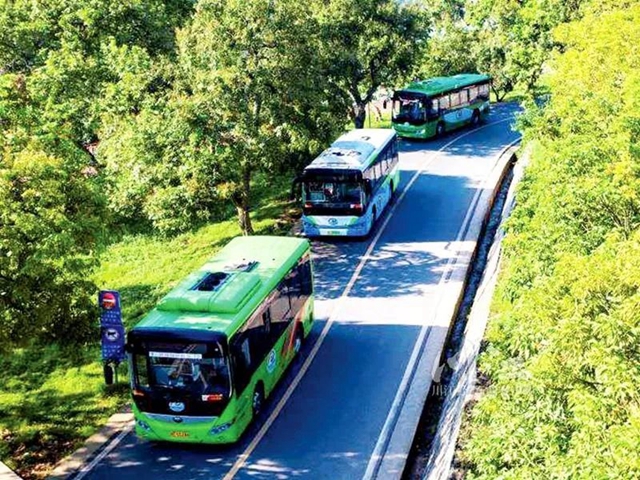 江阳区、龙马潭区拟命名为“四川省乡村运输金通工程样板县”(图2)