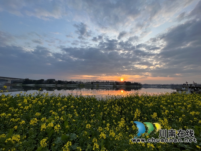 泸县：春到人间草木知！(图3)