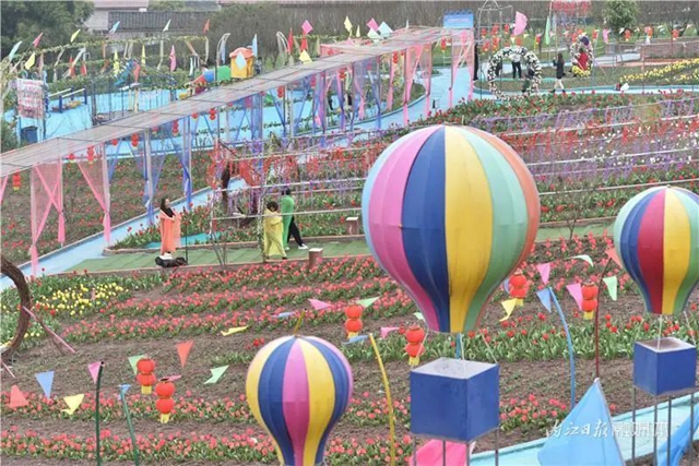 130万株郁金香盛放,内江这个地方成了一片花海!(图5) 130万株郁金香盛放,内江这个地方成了一片花海!(图5)