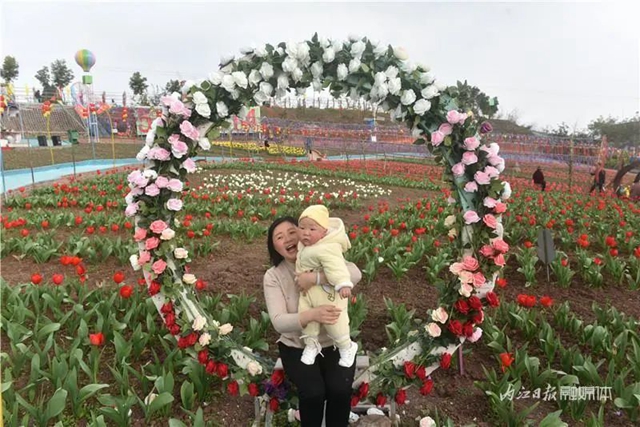 130万株郁金香盛放,内江这个地方成了一片花海!(图6) 130万株郁金香盛放,内江这个地方成了一片花海!(图6)