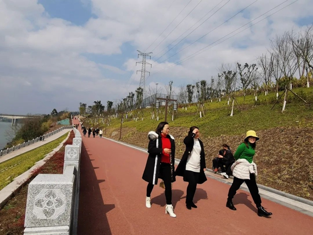 全城关注！内江城区“百里碧道”建设全面启动(图3)