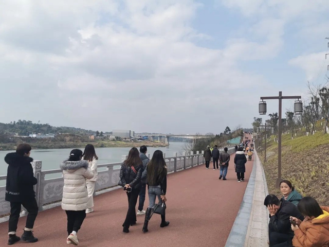 全城关注！内江城区“百里碧道”建设全面启动(图4)