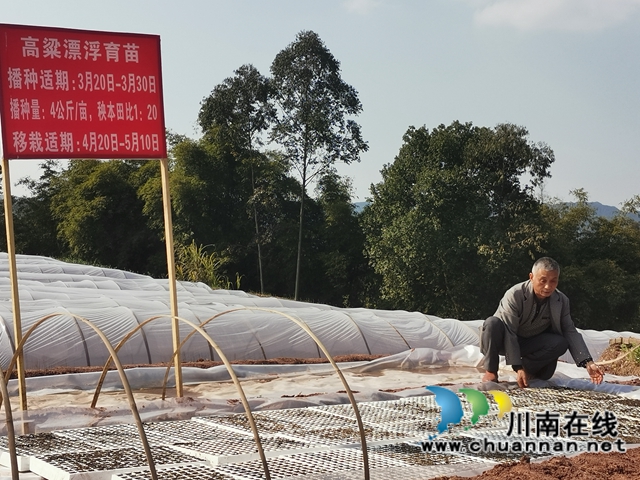 泸县潮河镇:粮油生产基地春播忙(图3) 泸县潮河镇:粮油生产基地春播忙(图3)