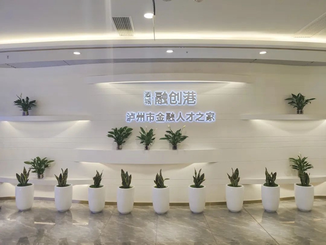 做强金融集聚效应 助力“一体”提质发展 | 泸州市委书记杨林兴调研泸州金融商业中心(图8)